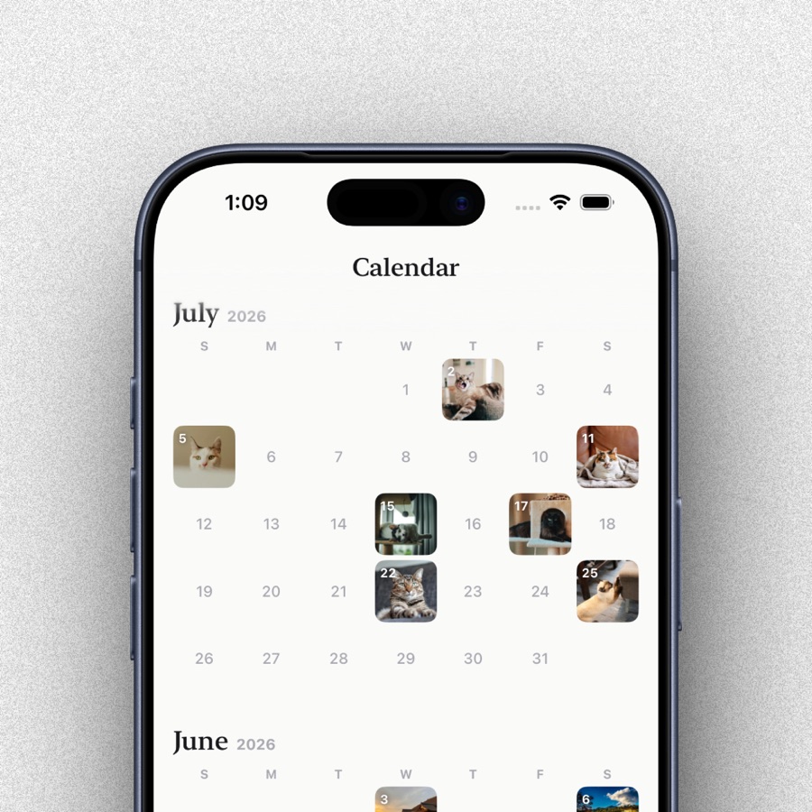 Searching in Spaces, showing results grouped by why each photo matched